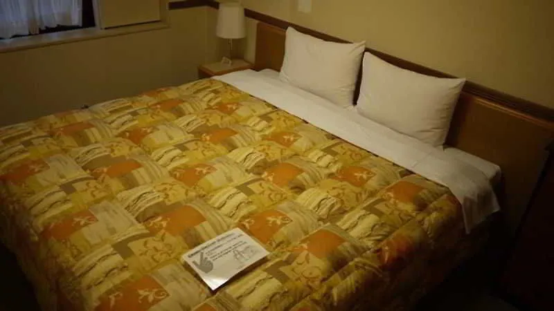 Toyoko Inn Hokkaido Sapporo Susukino Minami
